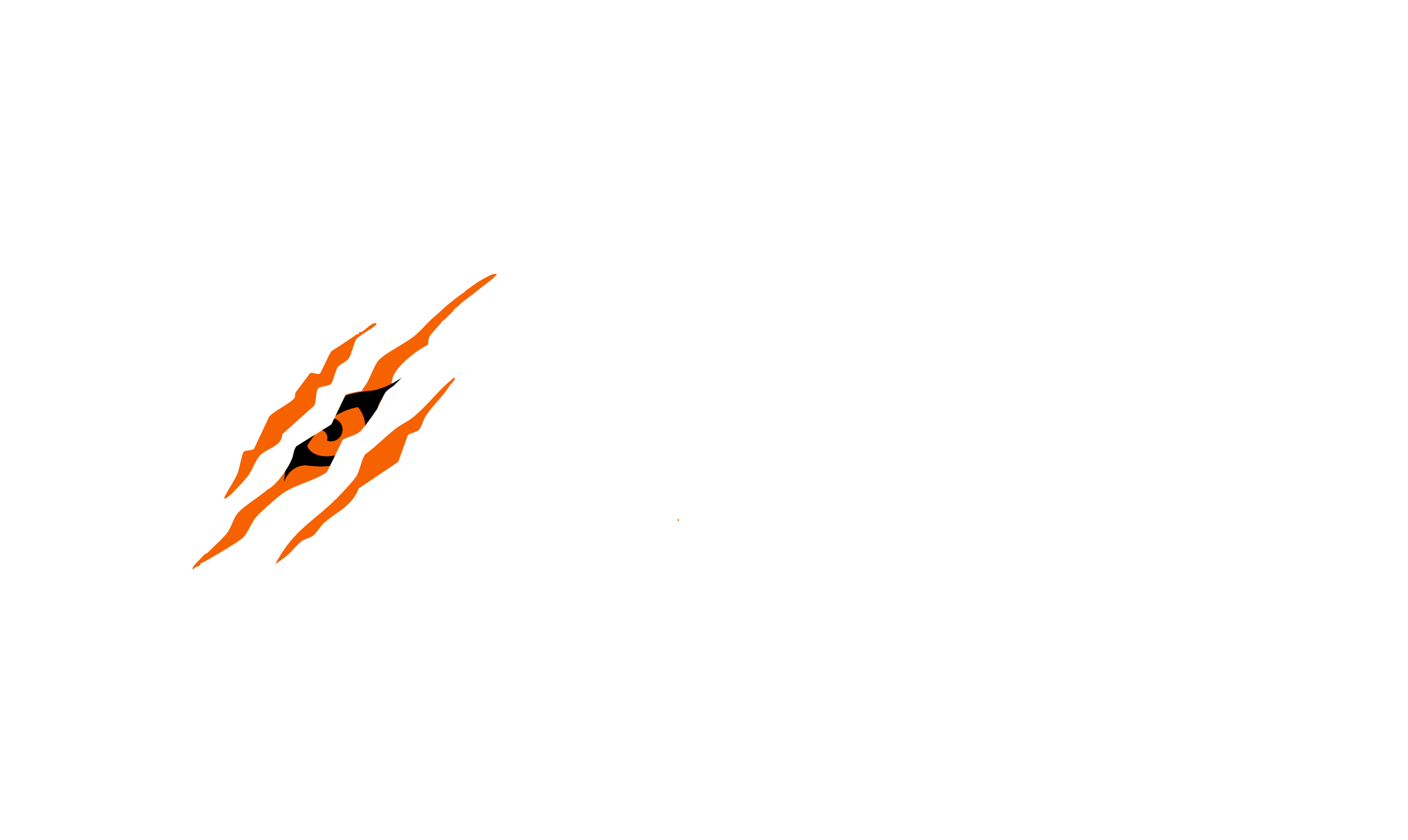 WRAPLION · Envolvemos tu mundo